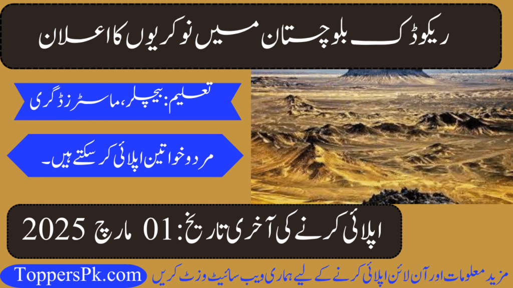 Reko Diq Jobs 2025 | Reko Diq Mining Company Jobs