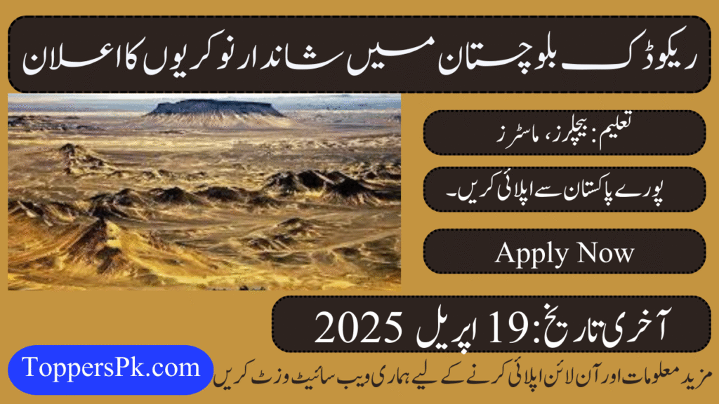 Reko Diq Mining Company Jobs 2025