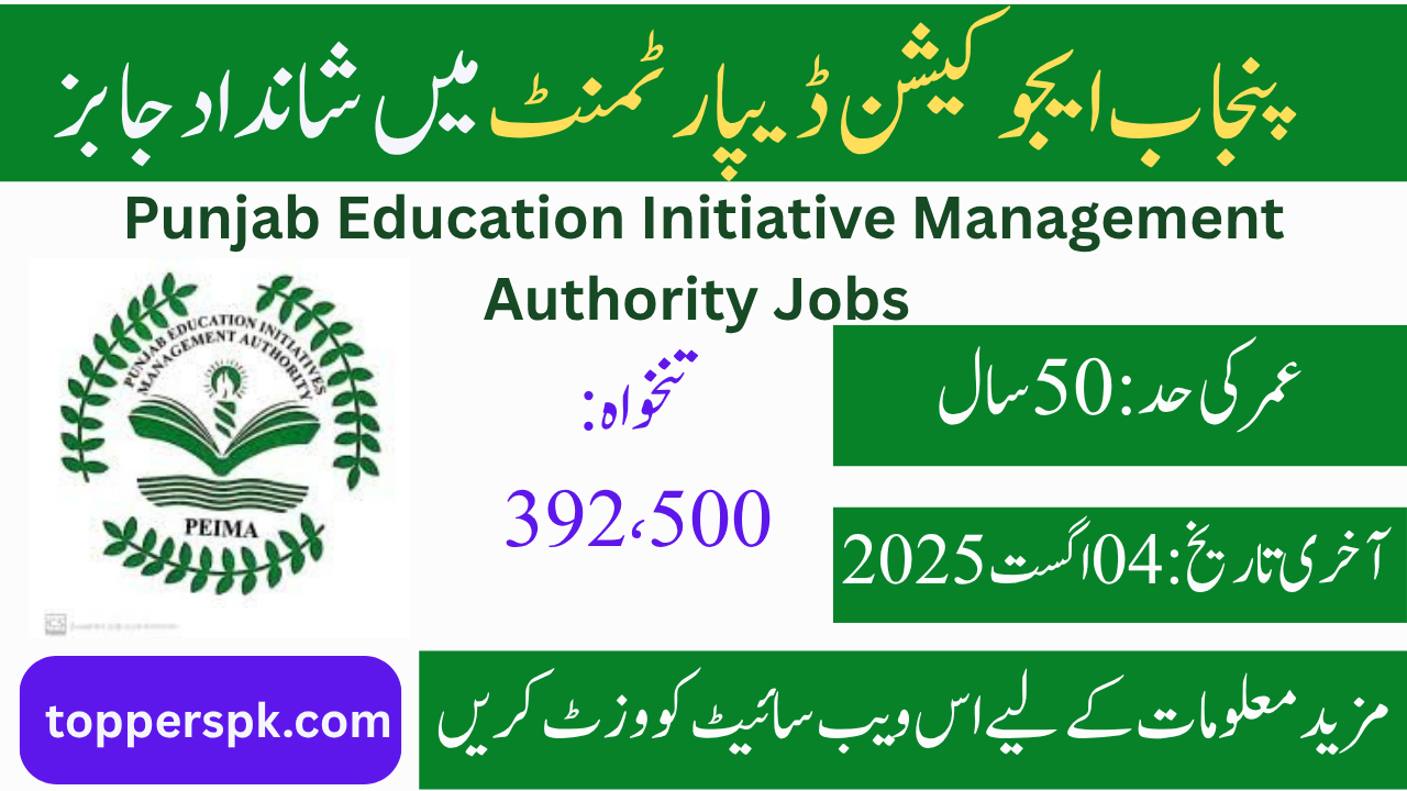 Punjab Education Initiative Management Authority Jobs